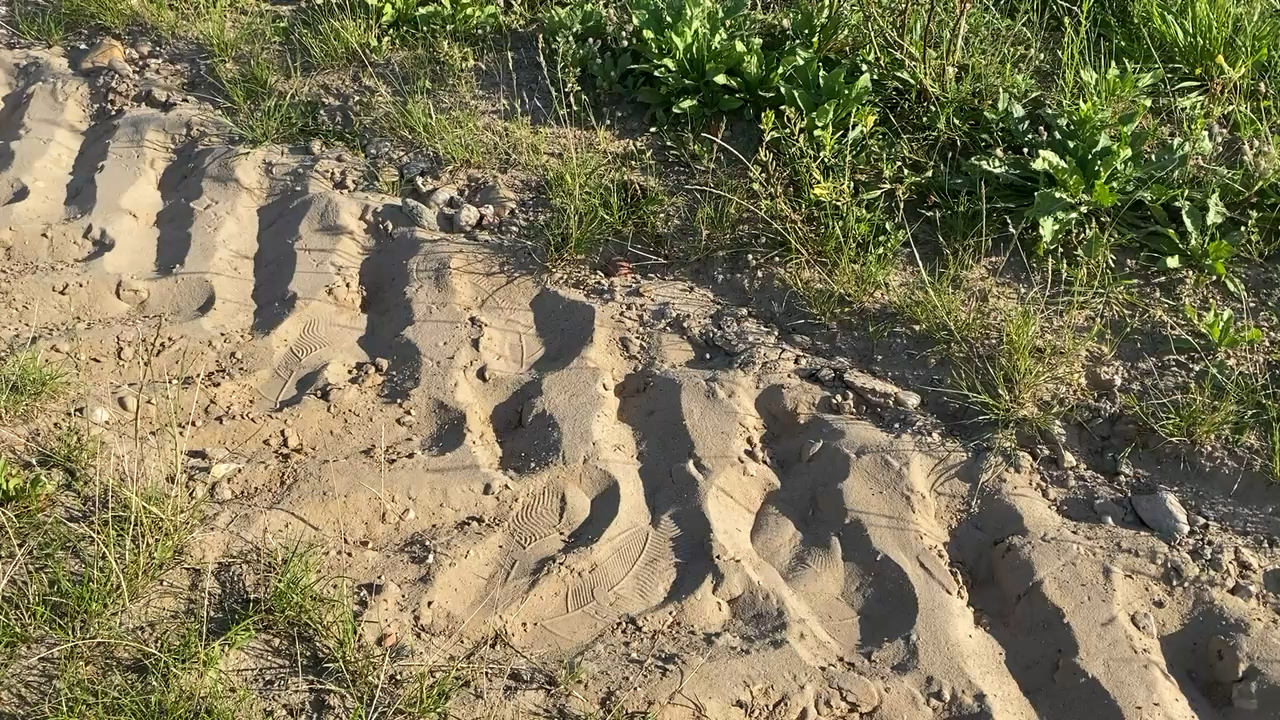 <strong><strong>Warum Wegraine?</strong></strong>